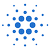کاردانو