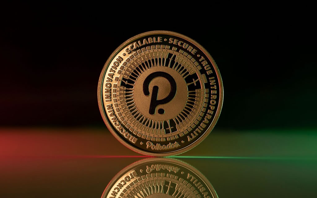 قیمت پولکادات